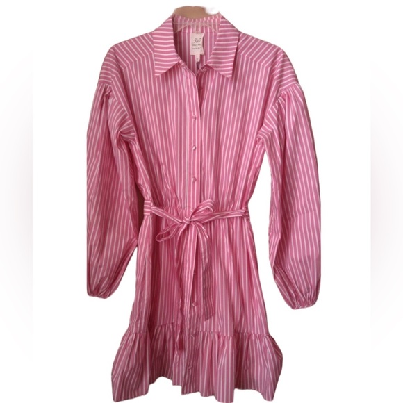 CINQ À SEPT Kelly Belted Pinstripe Dress - Picture 3 of 6